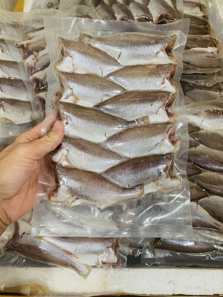 Frozen Seafood Products