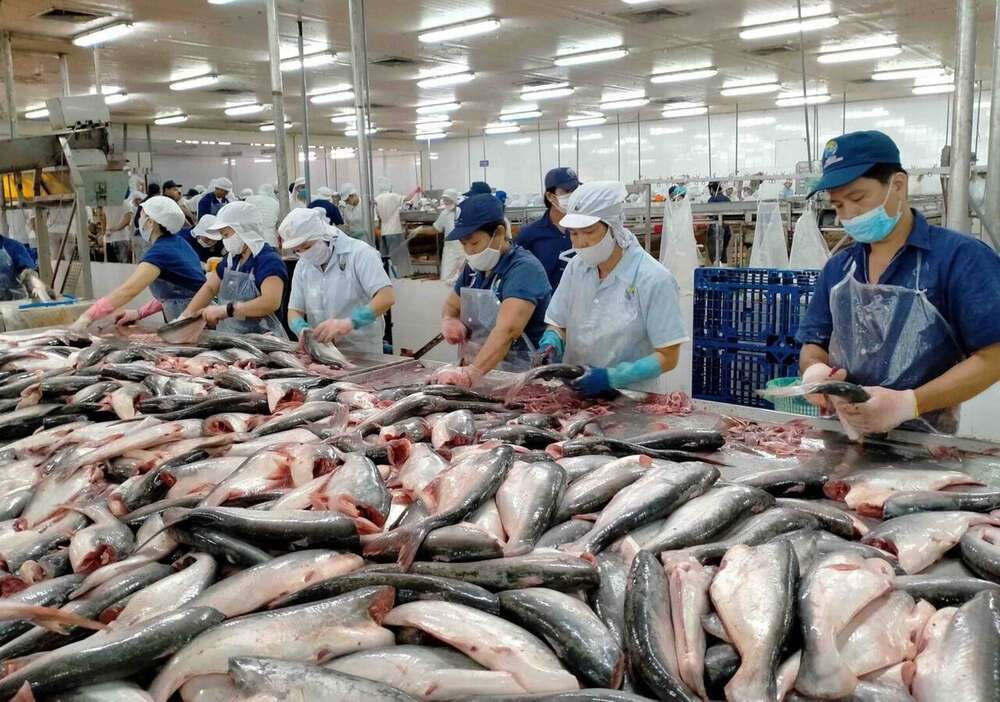Yemen seafood processing facility