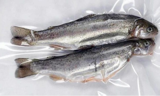 Vacuum Frozen Seafood